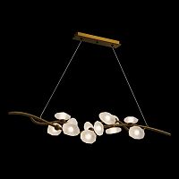 Подвесная люстра Pleiade Brass FL1223-12PL