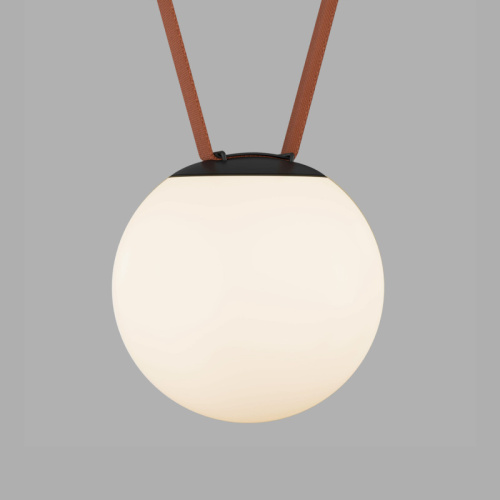 Светильник на шине Denkirs BELTY ORB | БЕЛТИ ОРБ DK5553-BK Светильник на шине Denkirs BELTY ORB | БЕЛТИ ОРБ DK5553-BK