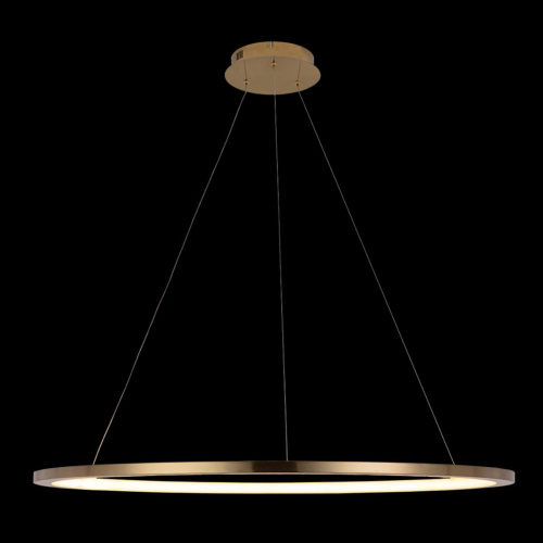 10014XL Подвесной светильник LOFT IT Ring фото 4