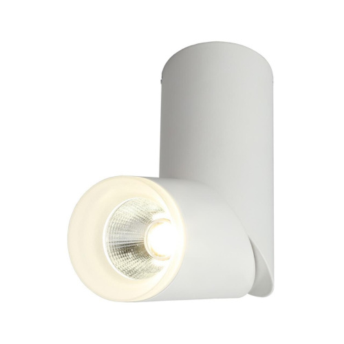 Светильник встраиваемый-накладной OML-100209-10 Светильник встраиваемый-накладной OML-100209-10