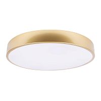 10228/A Потолочный светильник LOFT IT Flims