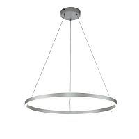 Подвесной светильник 14001/1P Silver