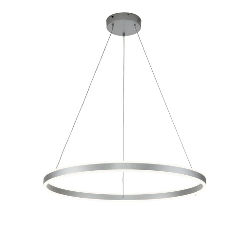 Подвесной светильник 14001/1P Silver Подвесной светильник 14001/1P Silver
