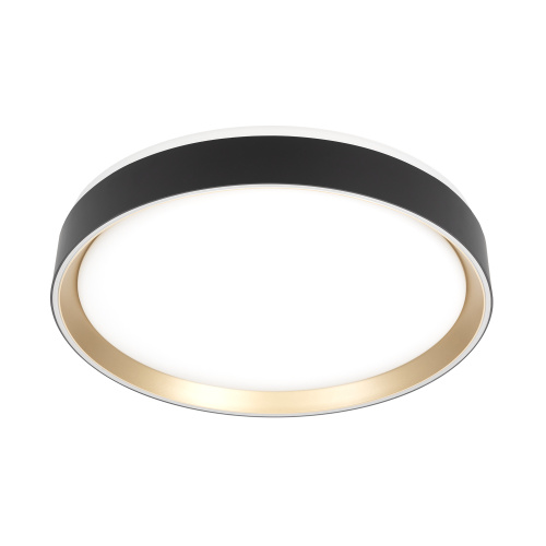 Citilux BOSS CL751351G LED RGB Светильник с пультом Чёрный с Золотом фото 2 Citilux BOSS CL751351G LED RGB Светильник с пультом Чёрный с Золотом фото 2