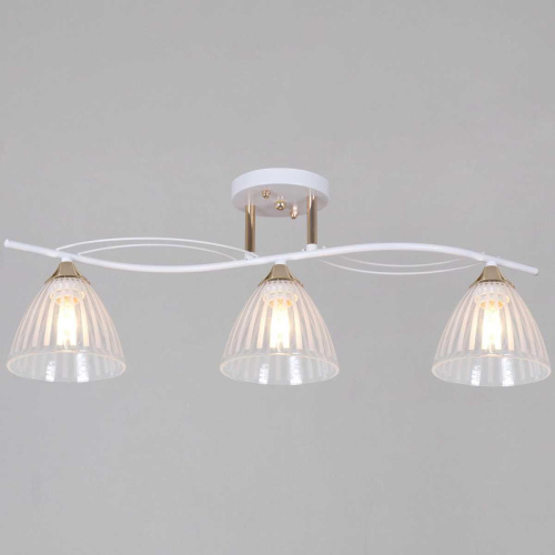 Потолочная люстра Reluce 73460-0.3-03 WH+FG