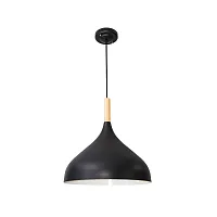 Подвесной светильник Arte Lamp KAYLA A7101SP-1BK