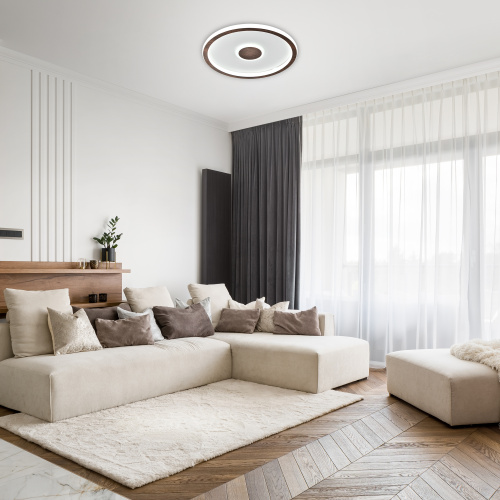 Потолочный светильник Freya FR5421CL-L80BR фото 7