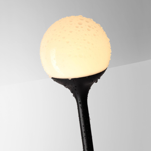 7120/3GLB NATURE ODL25 655 Ландшафтный светильник черный/металл IP65 LED 3W 195Лм 3000K 200° 12-24V DEW (нужен драйвер 357781/357782) фото 5