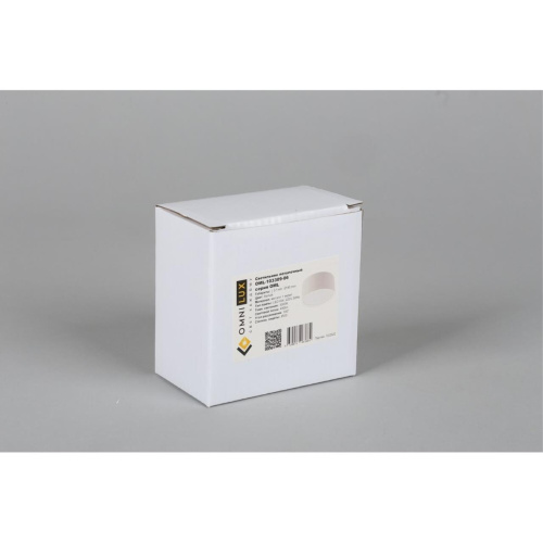 Светильник встраиваемый-накладной OML-103309-06 фото 6 Светильник встраиваемый-накладной OML-103309-06 фото 6