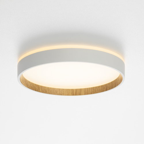 Citilux ETALON CL750240 LED Светильник с подсветкой Белый+Бук фото 5 Citilux ETALON CL750240 LED Светильник с подсветкой Белый+Бук фото 5