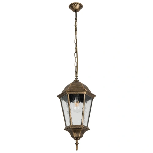 Уличный подвесной светильник Arte Lamp GENOVA A1204SO-1BN