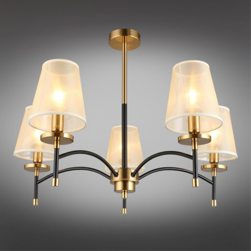 Люстра потолочная OML-67307-05 фото 3 Люстра потолочная OML-67307-05 фото 3