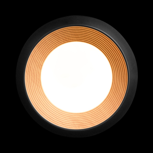 10255/350 Black Потолочный светильник LOFT IT Folk фото 5