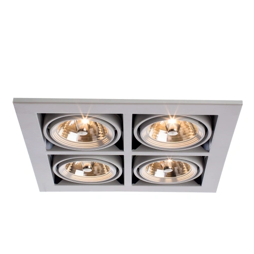 Карданный светильник Arte Lamp CARDANI MEDIO A5930PL-4WH фото 3 Карданный светильник Arte Lamp CARDANI MEDIO A5930PL-4WH фото 3