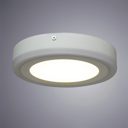 Потолочный светильник Arte Lamp ANTARES A7816PL-2WH фото 4 Потолочный светильник Arte Lamp ANTARES A7816PL-2WH фото 4