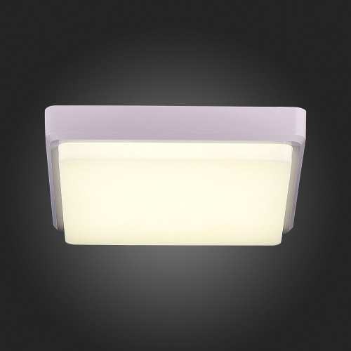 SLE200212-01 Светильник потолочный Белый/Белый LED 1*20W 4000K TADDIO фото 2