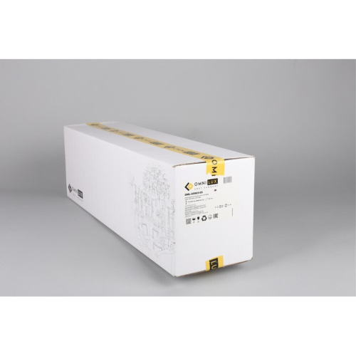 Люстра подвесная OML-65903-05 фото 11