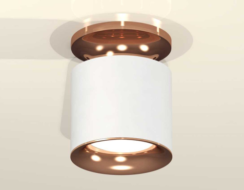 Комплект накладного светильника Ambrella light Techno Spot XS7401142 SWH/PPG белый песок/золото розовое полированное (N7930, C7401, N7015) фото 2
