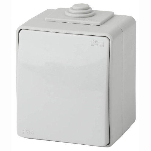 Выключатель одноклавишный ЭРА Эксперт 10AX 250V IP65 11-1601-03 Б0035972 Выключатель одноклавишный ЭРА Эксперт 10AX 250V IP65 11-1601-03 Б0035972