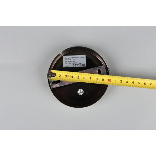 Светильник настенный (Бра) OML-93401-02 фото 3