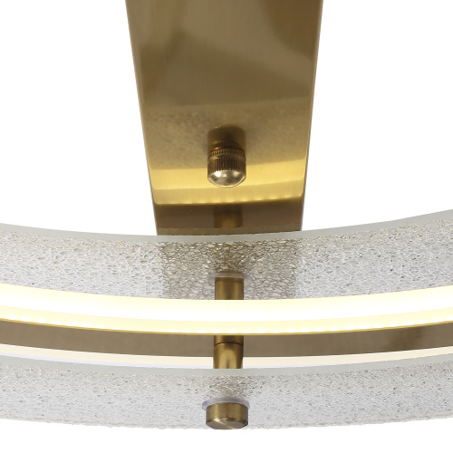 SL6245.212.01 Светильник потолочный ST-Luce золотистый/Прозрачный LED 1*40W 4000K FAGY фото 3