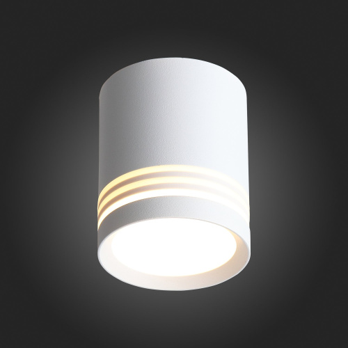 ST101.542.05 Светильник потолочный Белый LED 1*5W 4000K 390Lm Ra>80 120° IP20 D68xH80 170-240V Накладные светильники фото 3