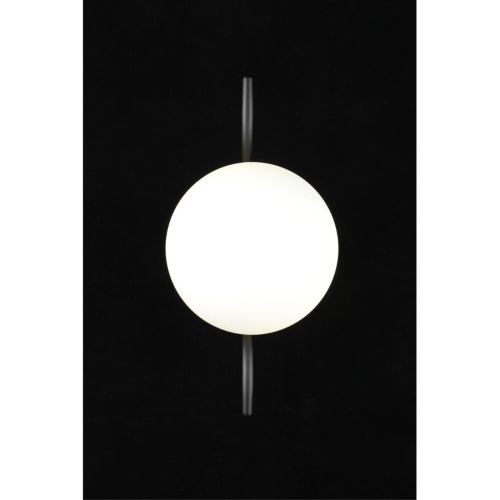 Светильник настенный (Бра) APL.312.01.01 фото 9