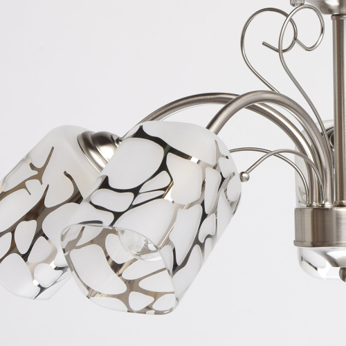 Люстра потолочная MW-Light Олимпия 261019505 фото 10