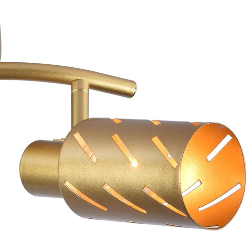 Спот Reluce 05970-0.8-02 GOLD фото 4