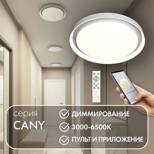 DK6516-WH Накладной светильник со встроенным светодиодом, 50W, IP 20, 3000K - 6500K, управление пульт Д/У (в комплекте) и Wi-Fi 2,4 Ггц. Эко система Smart Life, Яндекс.Алиса, белый, металл, полимер фото 5