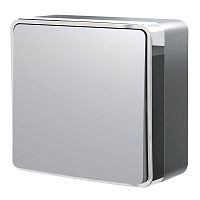 Выключатель одноклавишный Gallant серебряный W5010006