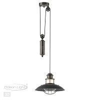 4164/1A NATURE ODL19 705 коричневый/прозрачный Подвес IP23 E27 1*60W DANTE