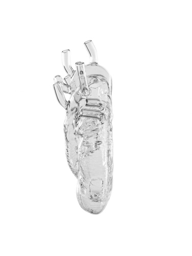 Ваза Love in Bloom Glass фото 2 Ваза Love in Bloom Glass фото 2