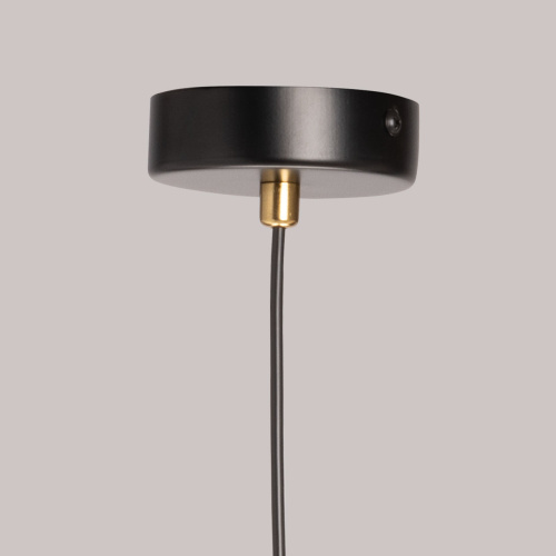 Подвесной светильник DeMarkt Крайс 657014201 фото 3 Подвесной светильник DeMarkt Крайс 657014201 фото 3