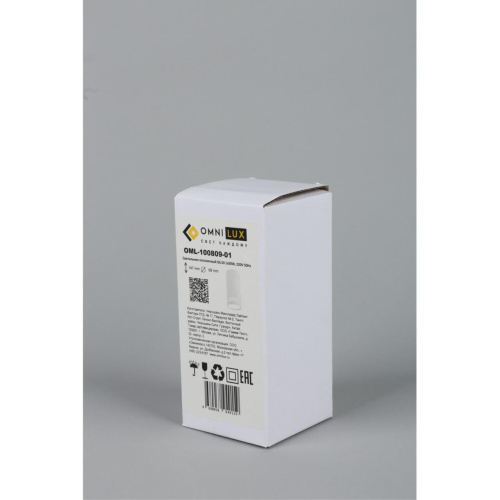 Светильник встраиваемый-накладной OML-100809-01 фото 2