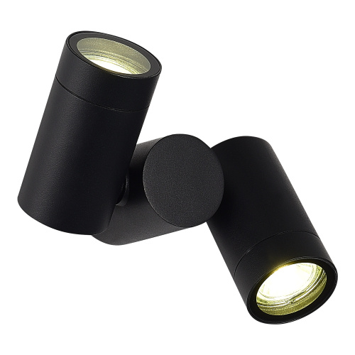 SL9011.402.02 Светильник уличный потолочный ST-Luce черный/белый GU10 2*50W ECOLLO фото 5