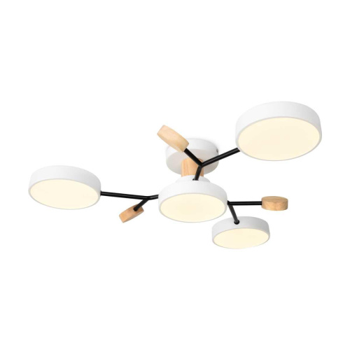 Потолочный светильник Freya Корона / Crown FR6119CL-L48W Потолочный светильник Freya Корона / Crown FR6119CL-L48W