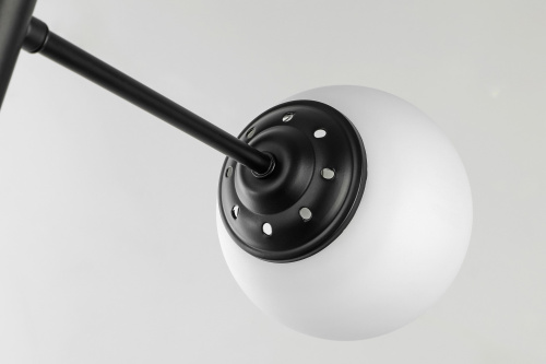 Подвесной светильник Lampit TP 2007-6 BK фото 4