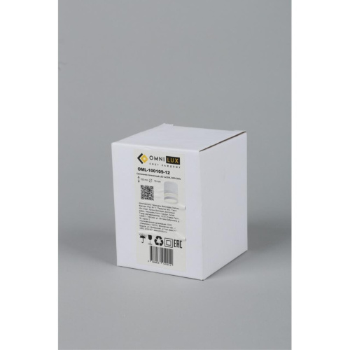 Светильник встраиваемый-накладной OML-100109-12 фото 5