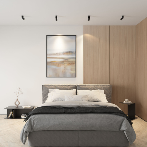 DK2029-BK Светильник накладной IP 20, 50 Вт, GU10, черный, алюминий фото 2