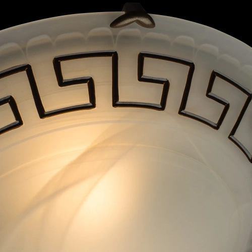 Потолочный светильник Arte Lamp ANTICA A3640PL-2AB фото 3