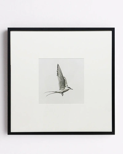 Квадратный постер "Flight"