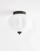 Чёрный светильник "Элаиза" с белым плафоном