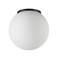 Потолочный светильник Odeon Light NATURE 7124/1C