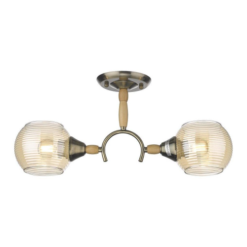 Потолочный светильник Velante 214-507-02 Потолочный светильник Velante 214-507-02