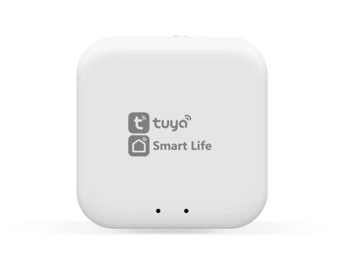 Wi-Fi конвертер управления светильниками для системы освещения Ambrella Light TRACK SYSTEM GL1920 Wi-Fi конвертер управления светильниками для системы освещения Ambrella Light TRACK SYSTEM GL1920