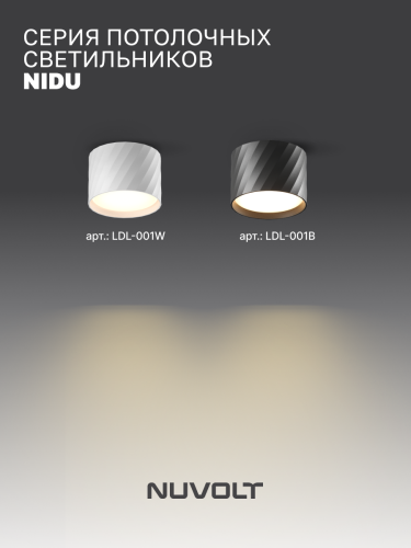 Потолочный светильник NUVOLT LDL-001B фото 9