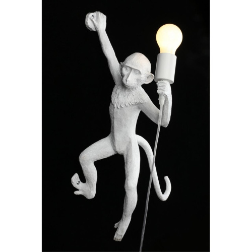 Светильник настенный (Бра) APL.309.11.01 фото 11 Светильник настенный (Бра) APL.309.11.01 фото 11