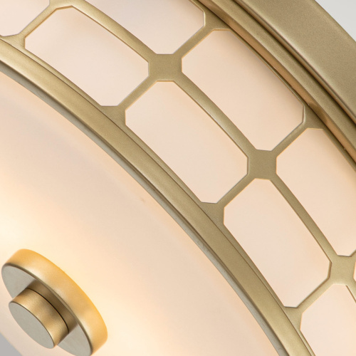 Потолочный светильник для ванных комнат Quoizel QZ-GUARDIAN-F-PNBR фото 5