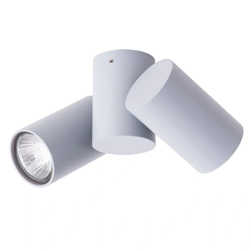 Спот Arte Lamp GAVROCHE A1511PL-2GY фото 3 Спот Arte Lamp GAVROCHE A1511PL-2GY фото 3